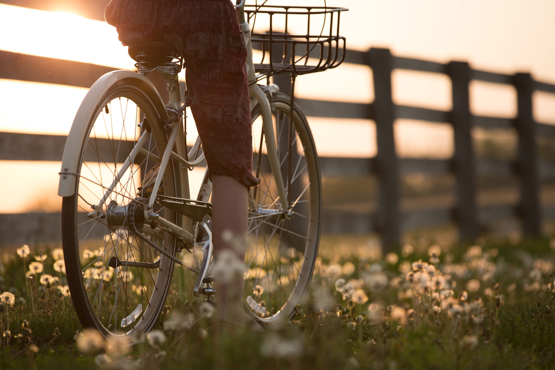 Healthy Living | Biking Healthy Living | Biking