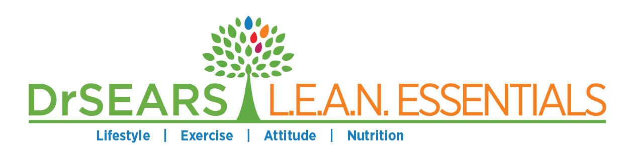 LEAN_Essentials_LOGO_062518_final_exp-01 LEAN_Essentials_LOGO_062518_final_exp-01